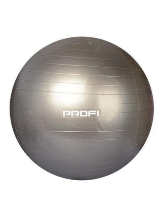 Фитбол Profi Ball 75 см + насос Серый (MS 1541G)
